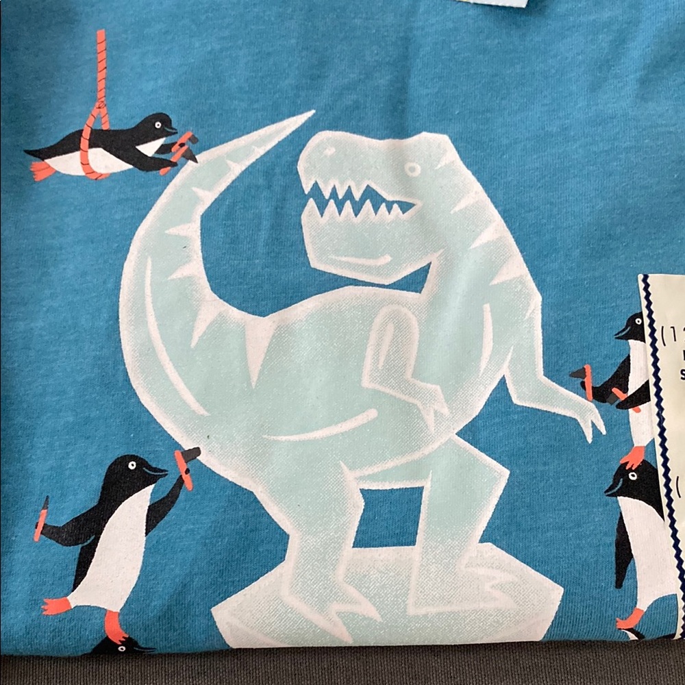 Cat & Jack Kids Dinosaur T-Shirts - Red & Blue size 12/14 - Picture 3 of 3